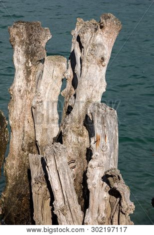 Big Breakwater, 3000 Trunks To Defend The City From The Tides, Plage De L Eventail Beach In Saint-ma
