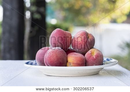 White Plate With Many Freshly Picked Plums