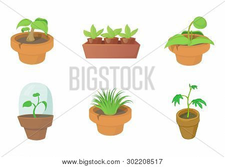 House Plant Icon Set. Cartoon Set Of House Plant Icons For Web Design Isolated On White Background