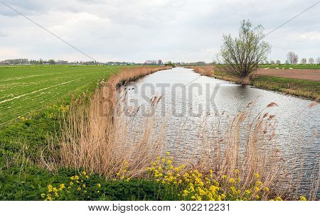Small Stream In A Dutch Rural Landscape In The Spring Season. The Photo Was Taken Near The Village O