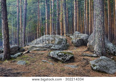 Large Stone Boulders In The Forest.