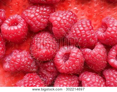 Raspberry Fruit Food