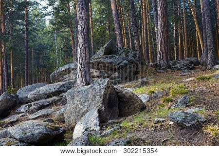 Large Stone Boulders In The Forest. Spring Forest In The Urals With Huge Stones