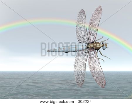 Libélula de arco iris