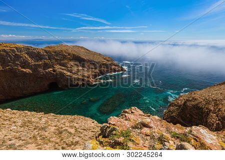 Berlenga island - Portugal - nature background