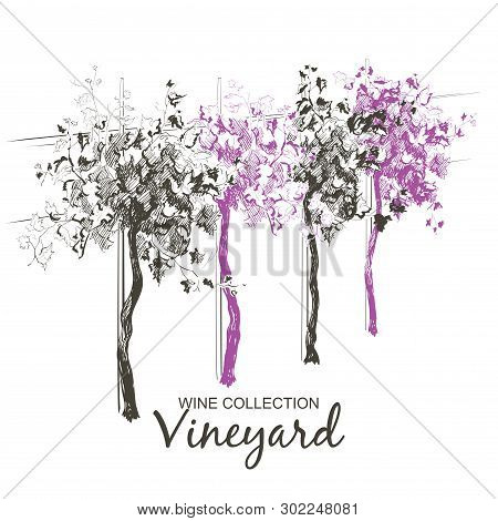 Vine Hills Landscape. Vector Line Sketch Illustration