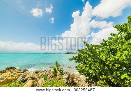 Turquoise Water In Le Gosier Shore In Guadeloupe, French West Indies. Lesser Antilles, Caribbean Sea
