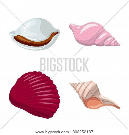 Isolated Object Of Seashell And Mollusk Symbol. Set Of Seashell And Seafood  Vector Icon For Stock.