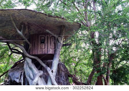 Small Wooden House On The Tree, House For The Monkey.