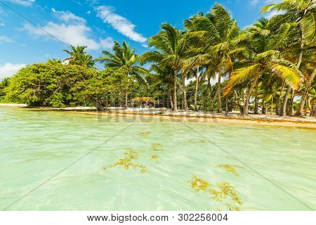 Bois Jolan Beach In Guadeloupe, French West Indies. Lesser Antilles, Caribbean Sea