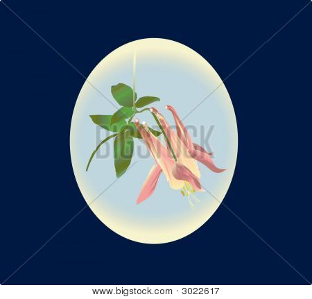 Columbine