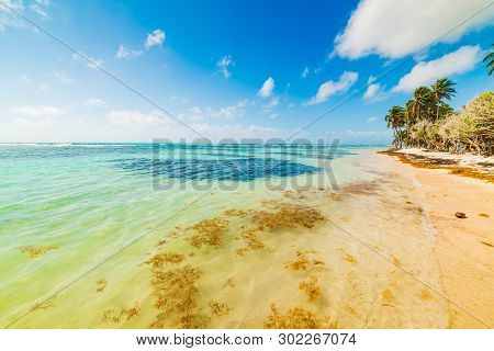 Bois Jolan Beach In Guadeloupe, French West Indies. Lesser Antilles, Caribbean Sea