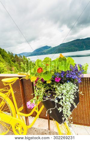 Yellow Old Bicycle With Basket Flowers As Decoration And Fjord Saudafjord Landscape, View From Svand