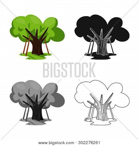 Vector Design Of Oak And Tree Symbol. Collection Of Oak And Forest Stock Symbol For Web.