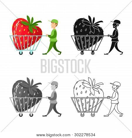 Isolated Object Of Man And Strawberry Logo. Set Of Man And Shopping Stock Symbol For Web.
