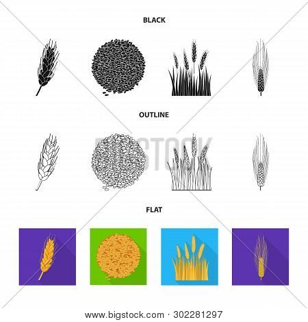 Vector Design Of Agriculture And Farming Icon. Set Of Agriculture And Plant  Vector Icon For Stock.