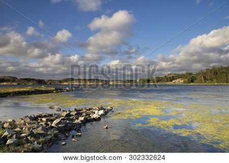 Nice Evening Light At The Coast Near The Swedish Village Havstenssund In The Province Bohuslan