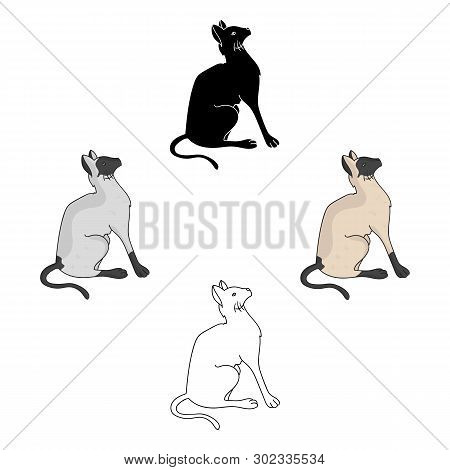 Siamese Icon In Cartoon, Black Style Isolated On White Background. Cat Breeds Symbol Stock Vector Il