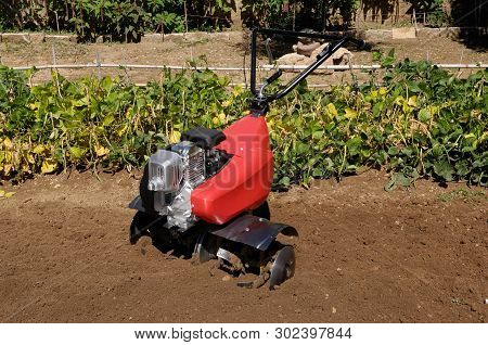 A Cultivator On An Orchard In A Sunny Day