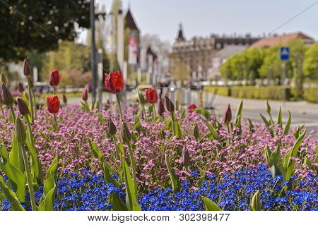 Street Lausanne In The Spring And Flower Beds. Travels In Europe And Rorism