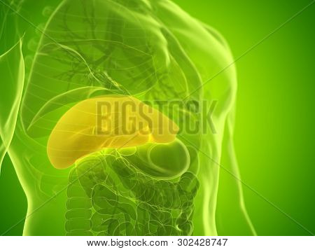 3d rendered medically accurate illustration of a mans liver