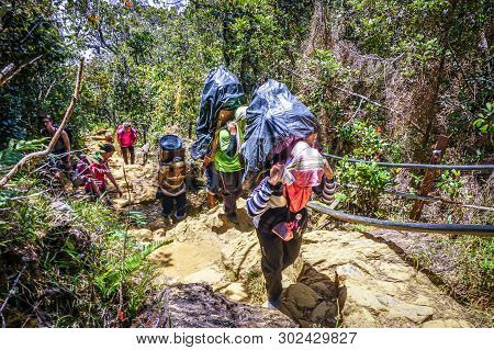 Ranau,sabah,malaysia-march 13,2016:mount Kinabalu Porters Carry Heavy Load From Timpohon Gate To The