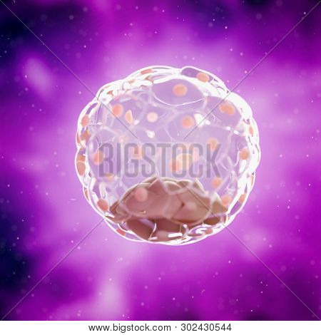 3d rendered medically accurate illustration of a human blastocyst