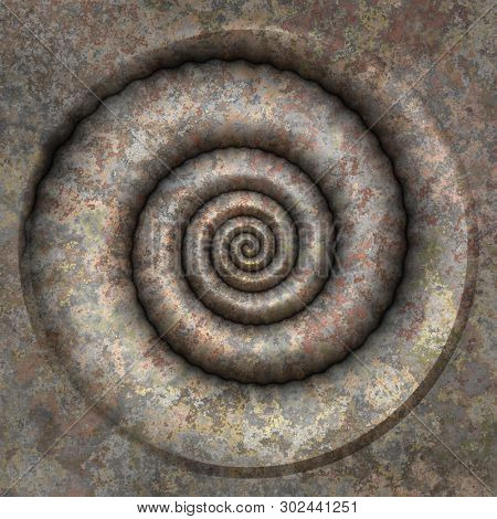  nice shell petrification