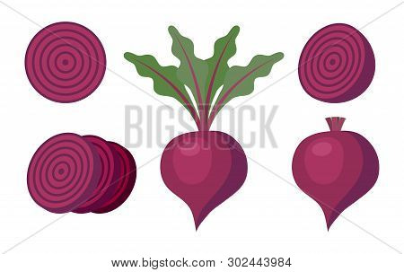 Vector Whole Beet Root With Leaves And Without Leaves, Half Of Beet And Slices Of Beet Isolated On W