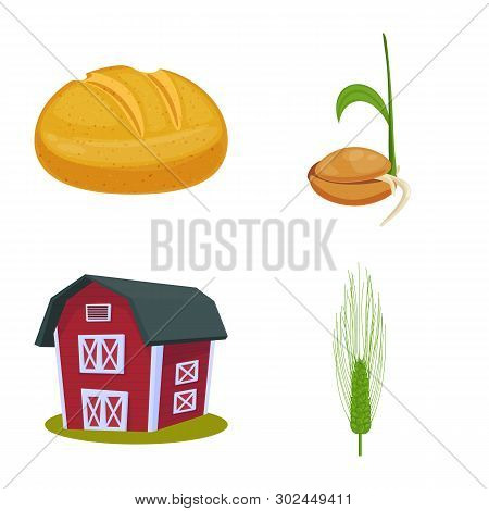 Vector Design Of Wheat And Corn Symbol. Set Of Wheat And Harvest Stock Symbol For Web.