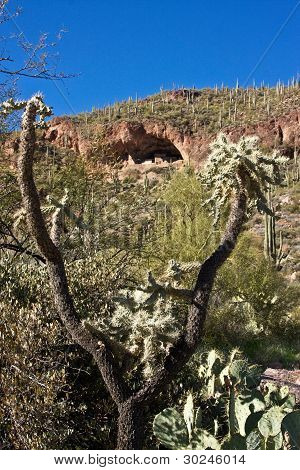 Ansicht des Tonto National monument