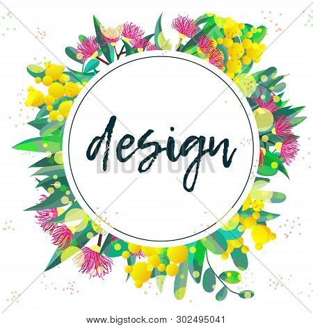 Tropical Australian Nature Background. Vector Illustration Of Eucalyptus Leaves And Flowers, Bloomin