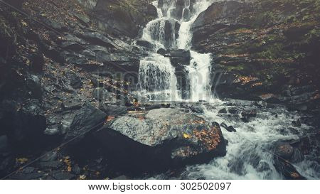 Rocky Mountain Stream Surface Autumn Wood Sight. Clear Foamy Waterfall Flow Stony Bottom. Wild Creek Golden Tree Foliage Forest Moss Unpolluted Environment Clean Ecology