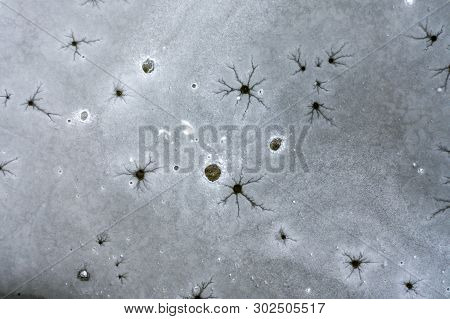 An Aeiral Drone Looking Down Captures Holes And Cracks In Frozen Lake Ice. Dark And Dusty Water Bene