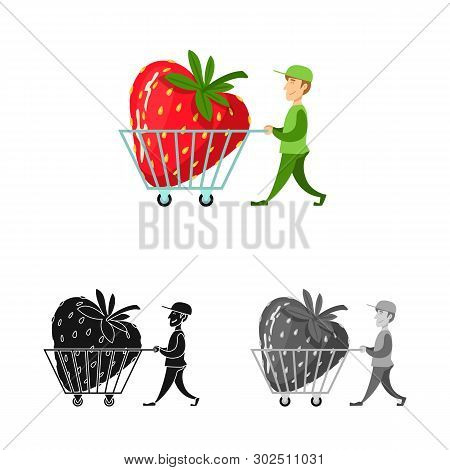 Vector Design Of Man And Strawberry Sign. Set Of Man And Shopping Stock Vector Illustration.