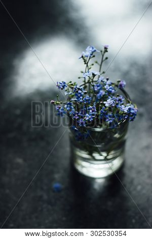 Spring Blue Forget-me-nots Flowers, Spring Concept, Selective Focus. A Beautiful Bouquet Of Blue Flo