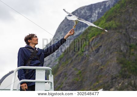 Tourist Feeding Bread To Seagulls. Man Traveling On Ferry Boat And Feeding Seagull. Tour Of Norway. 