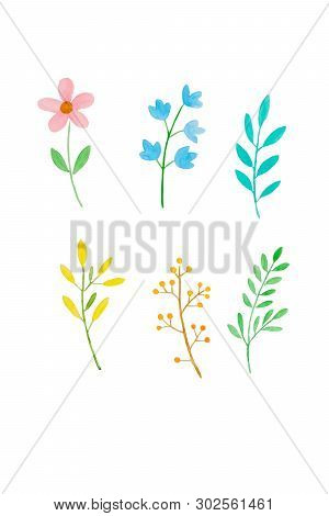 Watercolor Illustration Art Design, Set Of Spring Colorful Flowers And Green Leaves In Watercolor Ha