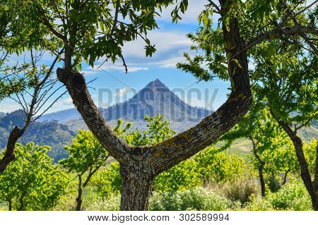 View Of Monte Formaggio, Mazzarino, Caltanissetta, Sicily, Italy, Europe