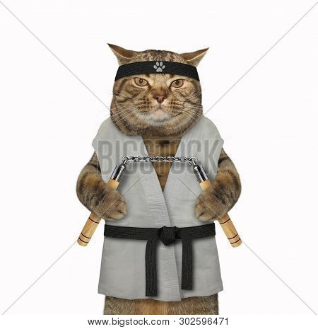 The Cat Karate Fighter In A Kimono With A Black Belt And Headband Is Making Exercise With Nunchuck. 