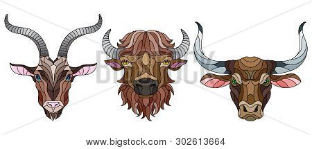 A Set Of Stained Glass Items, Stained Glass With Animal Heads, A Goat,  A Bison And A Bull, Isolates