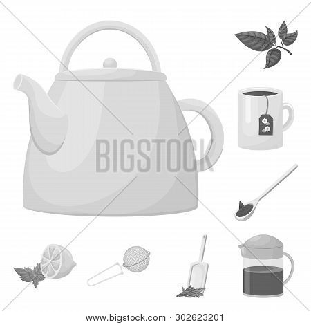 Vector Illustration Of Green And Black  Icon. Set Of Green And Organic Vector Icon For Stock.
