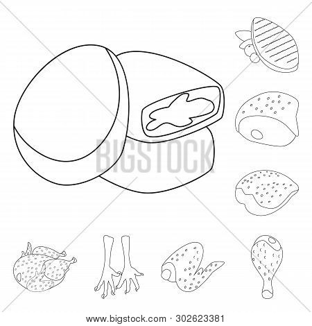 Isolated Object Of Food And Grilled Icon. Collection Of Food And Bird  Vector Icon For Stock.