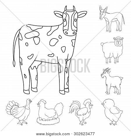 Vector Design Of Homemade And Countryside Icon. Set Of Homemade And Agriculture Vector Icon For Stoc