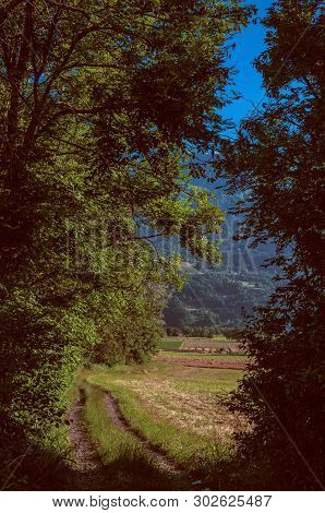 Leafy Forest With Green Field, Alpine Landscape And Blue Sky In Saint-gervais-les-bains. A Famous Sk