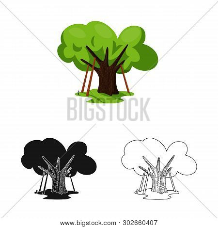 Vector Design Of Oak And Tree Icon. Set Of Oak And Forest Vector Icon For Stock.