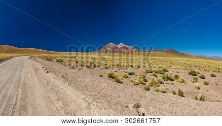Track To Miscanti A Minique Lagoons In Atacama