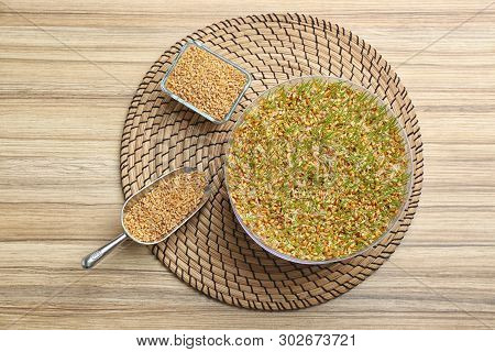 Flat Lay Composition With Growing Wheat Grass On Table