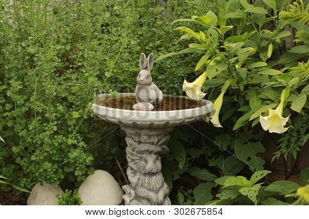 Fancy Bunny Birdbath In Lush Green Garden