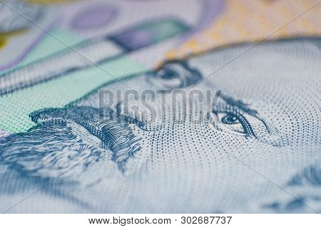 Nicolae Grigorescu Face Close-up  From Romanian Money Lei